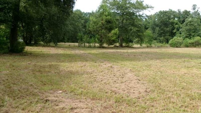 19127 Alia Ln, Hammond, LA 70403 - photo 2