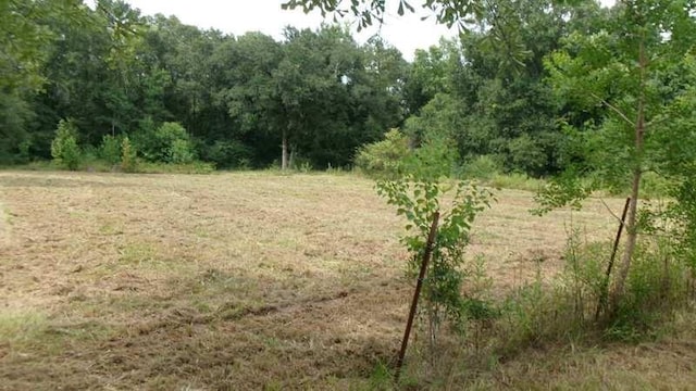 19127 Alia Ln, Hammond, LA 70403 - photo 3