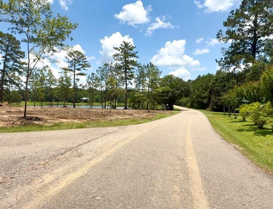Hammerstone Dr, Franklinton, LA 70438 - photo 1