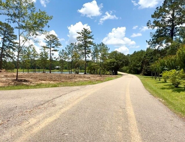 Hammerstone Dr, Franklinton, LA 70438 - photo 1