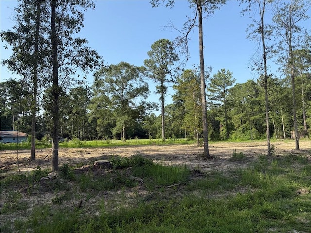 30625 Tamjulon Ln, Albany, LA 70711 - photo 1
