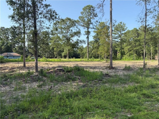 30625 Tamjulon Ln, Albany, LA 70711 - photo 2