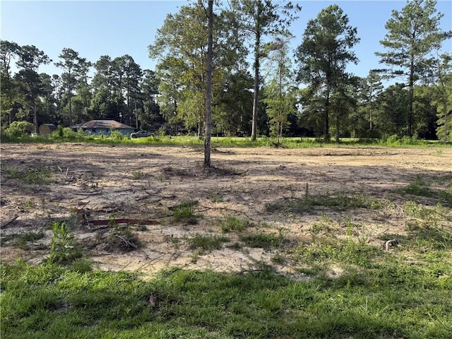 30625 Tamjulon Ln, Albany, LA 70711 - photo 3