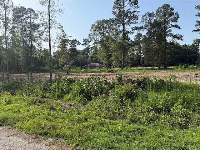 30625 Tamjulon Ln, Albany, LA 70711 - photo 4