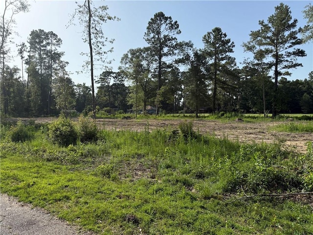 30625 Tamjulon Ln, Albany, LA 70711 - photo 5