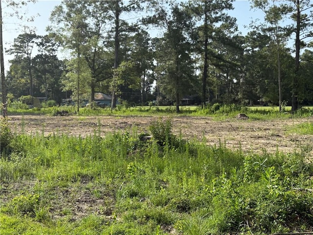 30625 Tamjulon Ln, Albany, LA 70711 - photo 6