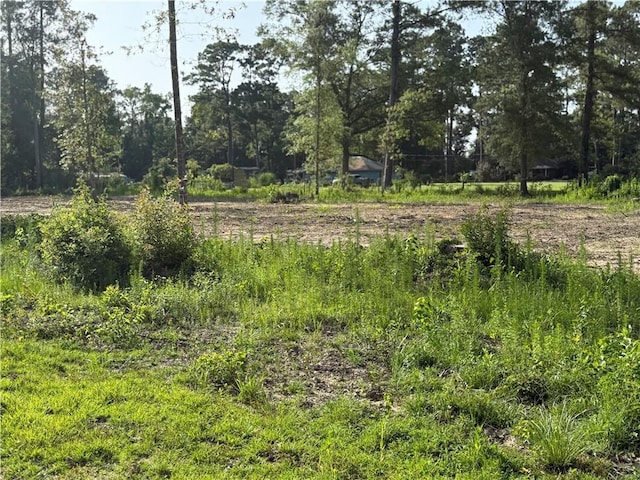 30625 Tamjulon Ln, Albany, LA 70711 - photo 7