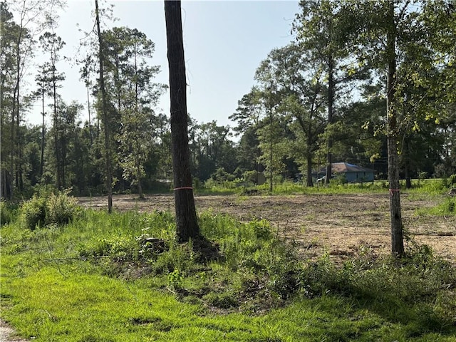 30625 Tamjulon Ln, Albany, LA 70711 - photo 8