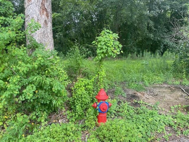 E 3rd St, Reserve, LA 70084