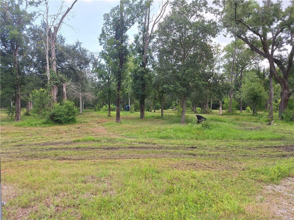 10855 Willow Dr, New Orleans, LA 70131 - photo 2
