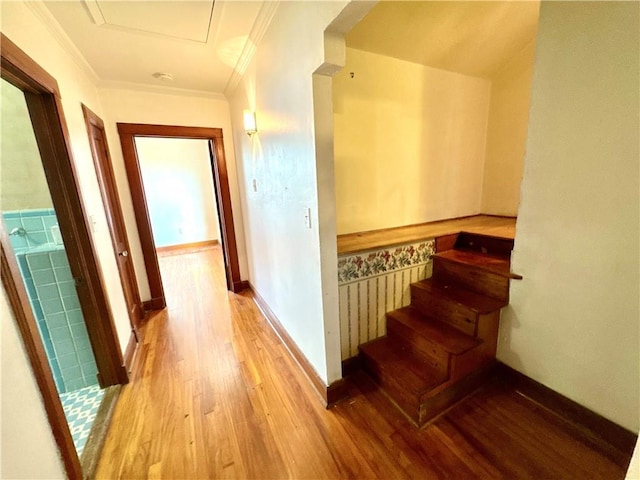 4825 Eagle St, Metairie, LA 70001 - photo 13