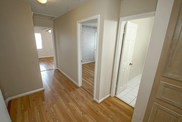2404 Rue Saint Honore Ave, Gretna, LA 70056 - photo 23
