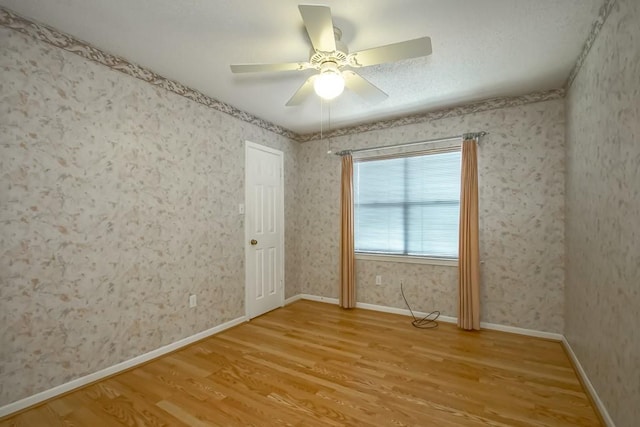 2404 Rue Saint Honore Ave, Gretna, LA 70056 - photo 26