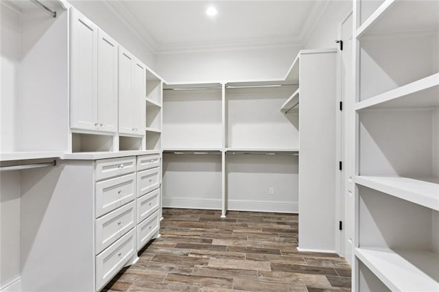 130 Bald Eagle Dr, Belle Chasse, LA 70037 - spacious closet featuring dark wood-style flooring