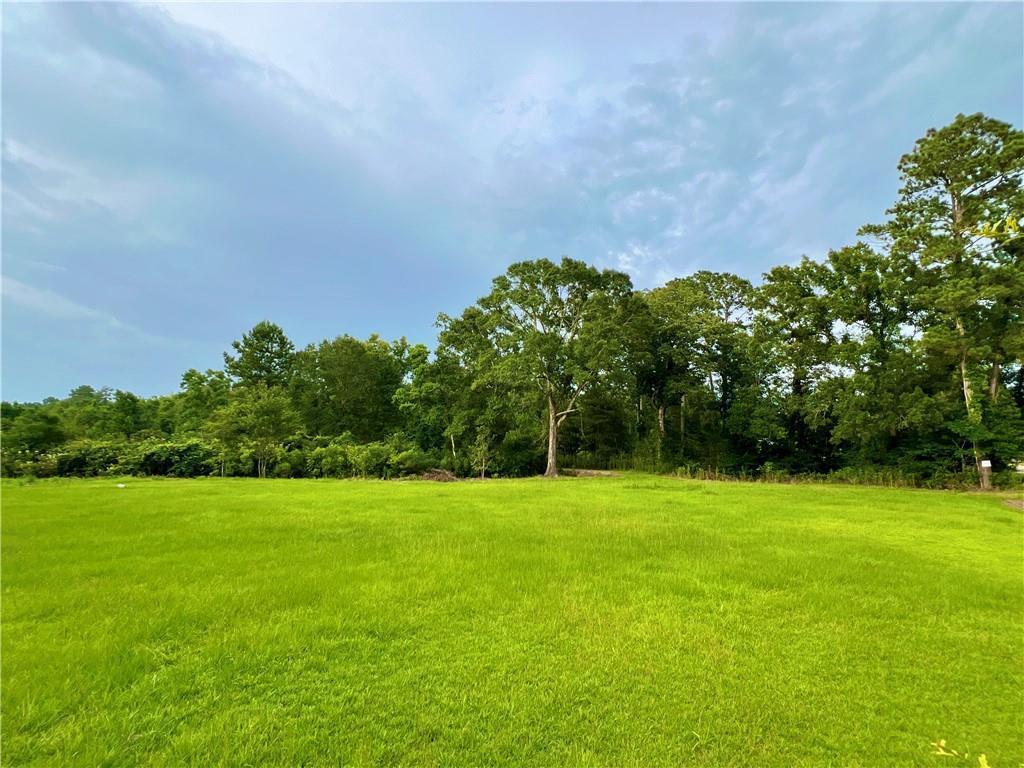20415 Weinberger Rd, Ponchatoula, LA 70454 - photo 1