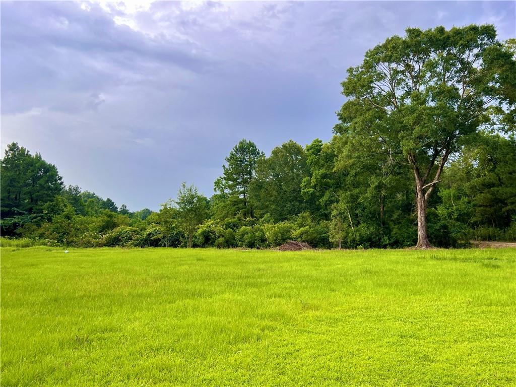 20415 Weinberger Rd, Ponchatoula, LA 70454 - photo 3