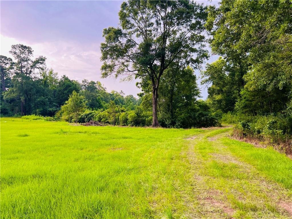 20415 Weinberger Rd, Ponchatoula, LA 70454 - photo 4