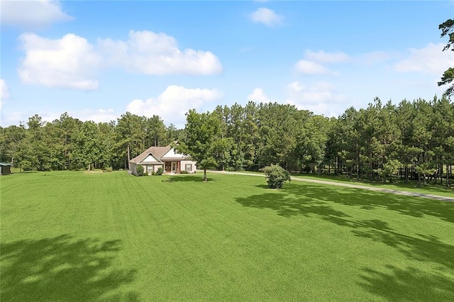 53131 S Bennett Rd, Independence, LA 70443 - view of grassy yard with a wooded view