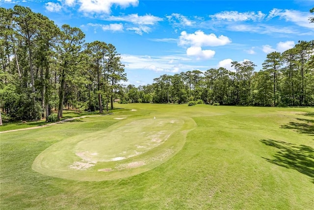 163 Tchefuncte Dr, Covington, LA 70433 - view of property's community with view of wooded area, view of golf course, an area to practice putting, and a yard