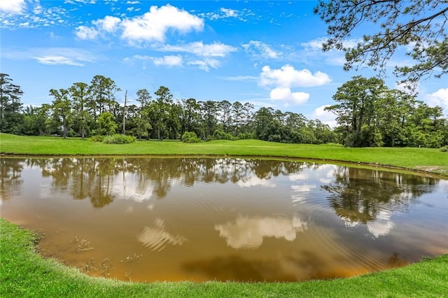 163 Tchefuncte Dr, Covington, LA 70433 - water view