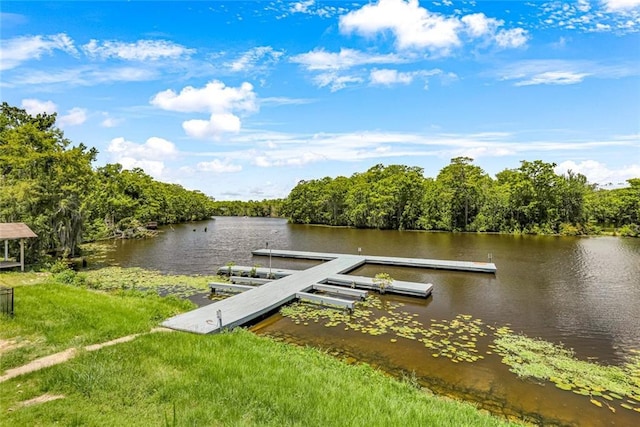 163 Tchefuncte Dr, Covington, LA 70433 - dock area featuring a water view