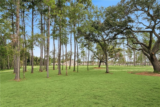 39063 Taylor St, Pearl River, LA 70452 - photo 14