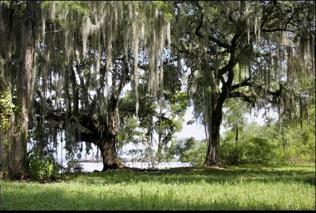 4806 Levee Rd Lot 2, Saint Martinville, LA 70582 - photo 3