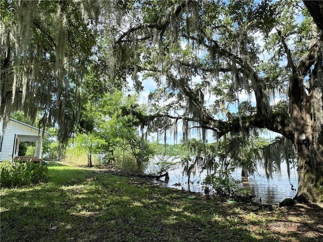 4806 Levee Rd Lot 2, Saint Martinville, LA 70582 - photo 4