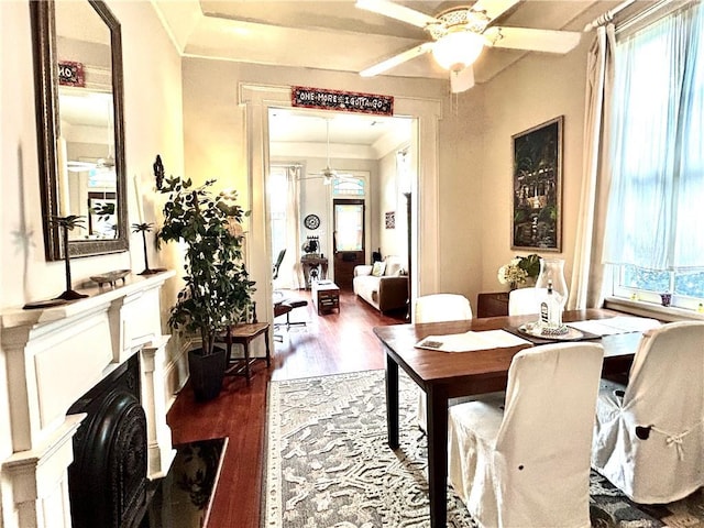 91315 Arabella St, New Orleans, LA 70115 - dining room featuring ceiling fan, dark wood-style flooring, and healthy amount of natural light