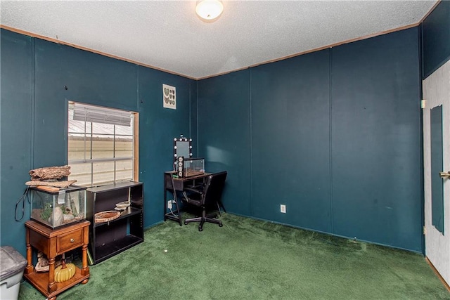 25169 Stepp Rd, Robert, LA 70455 - carpeted office space with a textured ceiling and a decorative wall