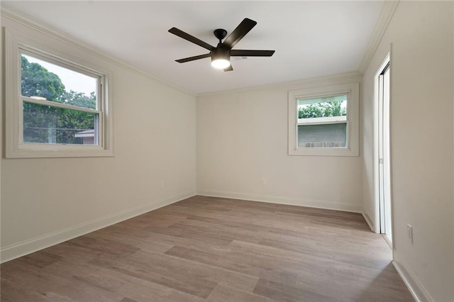 5613 Morton St, Metairie, LA 70003 - unfurnished room featuring healthy amount of natural light, light wood-type flooring, ornamental molding, and ceiling fan