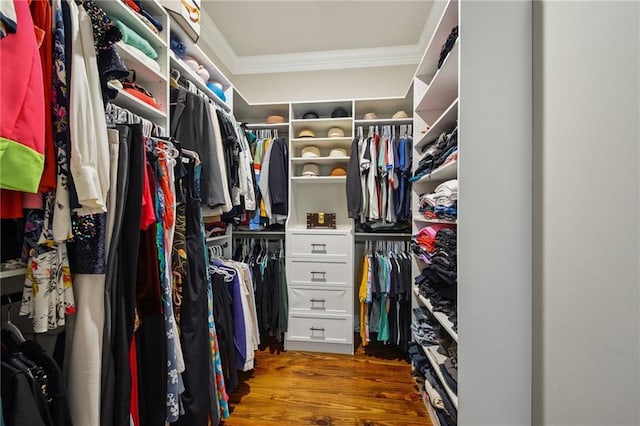 819 Franklin Ave, New Orleans, LA 70117 - walk in closet with wood finished floors