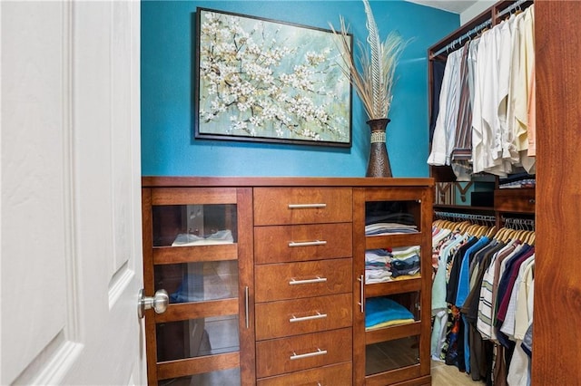 6744 Canal Blvd, New Orleans, LA 70124 - view of spacious closet