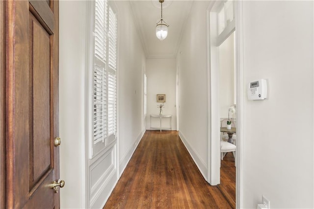 3325 Coliseum St, New Orleans, LA 70115 - corridor featuring dark wood-style flooring and ornamental molding