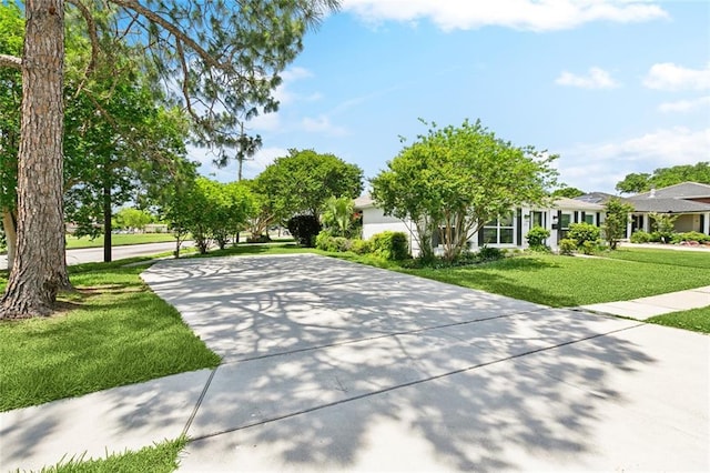 4400 Cleveland Pl, Metairie, LA 70003 - view of home's community featuring a lawn and concrete driveway