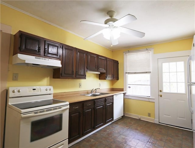 30507 Labarre Dr, Metairie, LA 70001 - kitchen with white appliances, under cabinet range hood, dark brown cabinets, a ceiling fan, and crown molding
