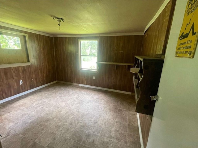 24180 Joe May Rd, Denham Springs, LA 70726 - unfurnished room with plenty of natural light and wooden walls