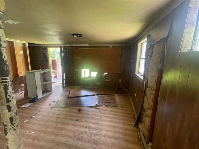 24180 Joe May Rd, Denham Springs, LA 70726 - foyer featuring wooden walls, wood finished floors, and plenty of natural light