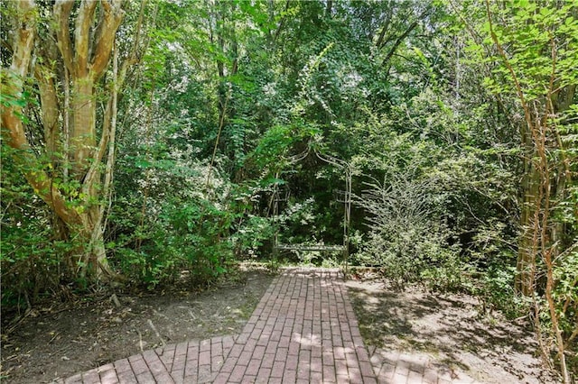 15070 Bruhl Rd, Folsom, LA 70437 - photo 33