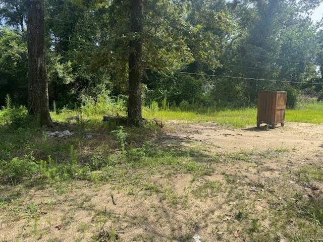 85274 Kings Rd, Bogalusa, LA 70427 - view of wooded area