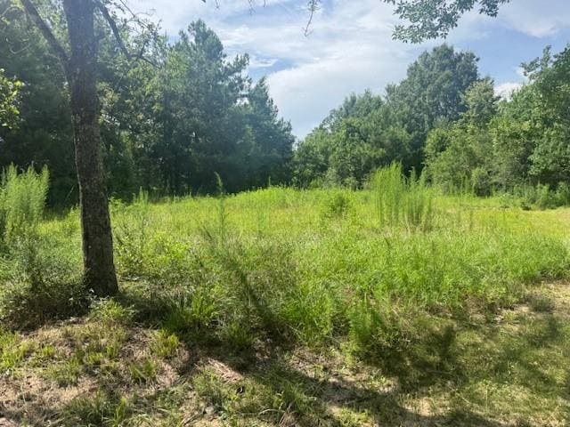 85274 Kings Rd, Bogalusa, LA 70427 - view of wooded area
