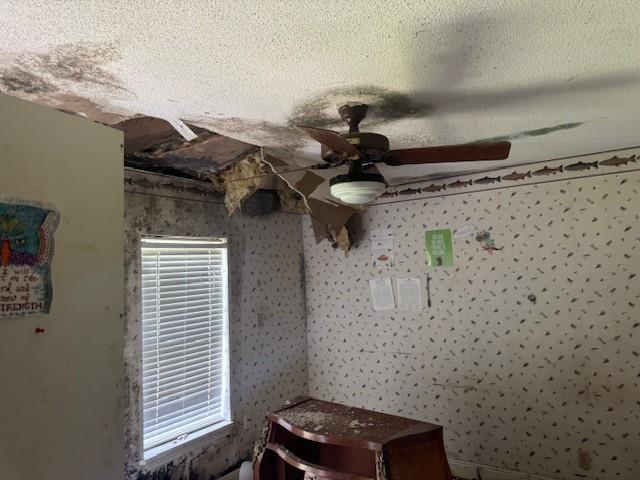 85274 Kings Rd, Bogalusa, LA 70427 - unfurnished bedroom featuring ceiling fan
