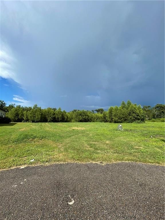 118 Wood Duck Dr, Belle Chasse, LA 70037