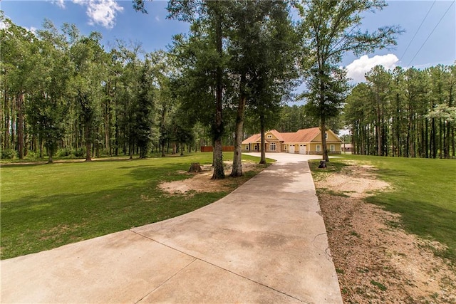 62636 Russell Town Rd, Roseland, LA 70456 - photo 2