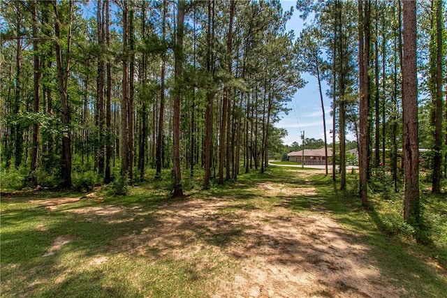 62636 Russell Town Rd, Roseland, LA 70456 - photo 11