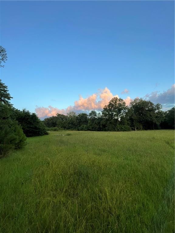 17142 Parker Ln, Hammond, LA 70403