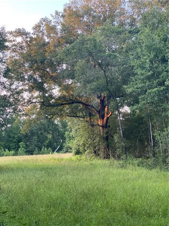 17142 Parker Ln, Hammond, LA 70403