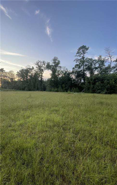 17142 Parker Ln, Hammond, LA 70403
