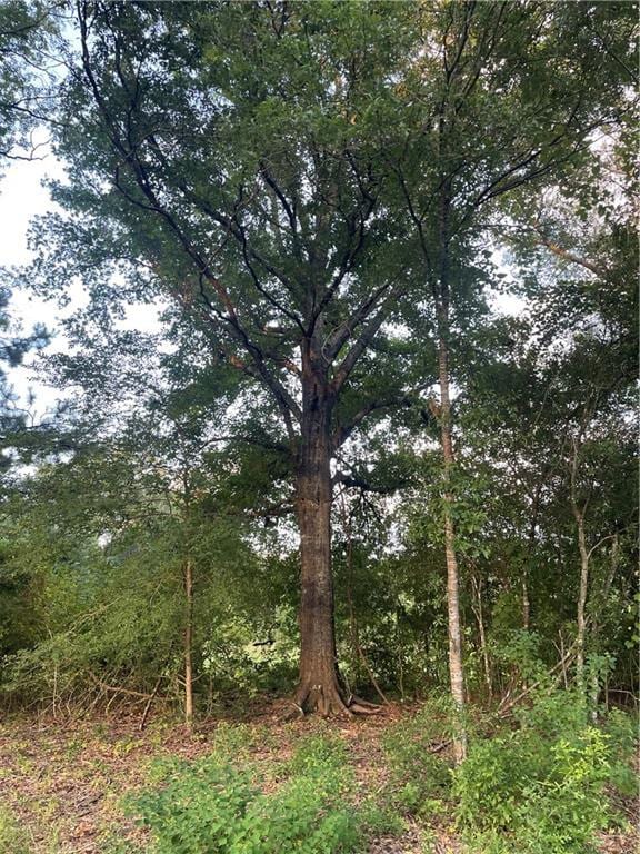 17142 Parker Ln, Hammond, LA 70403