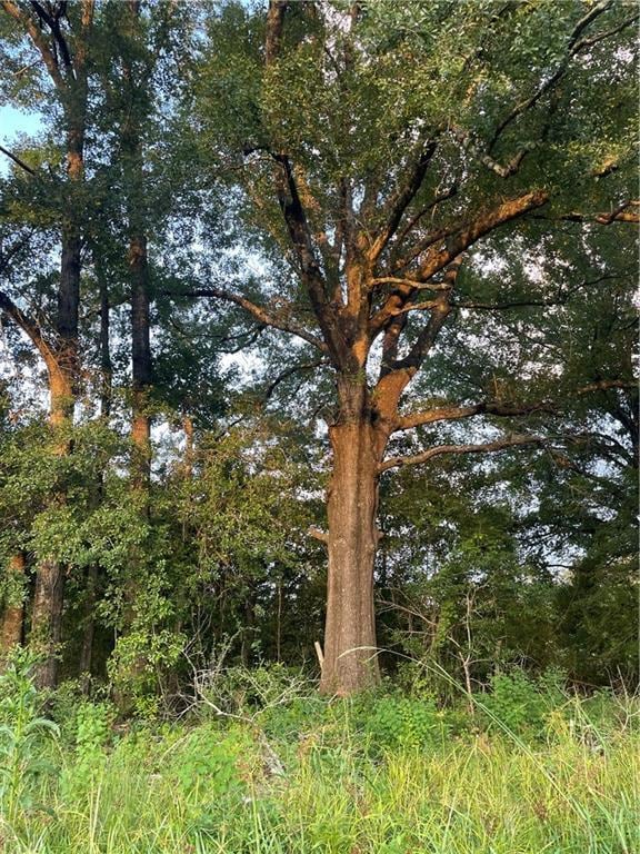 17142 Parker Ln, Hammond, LA 70403